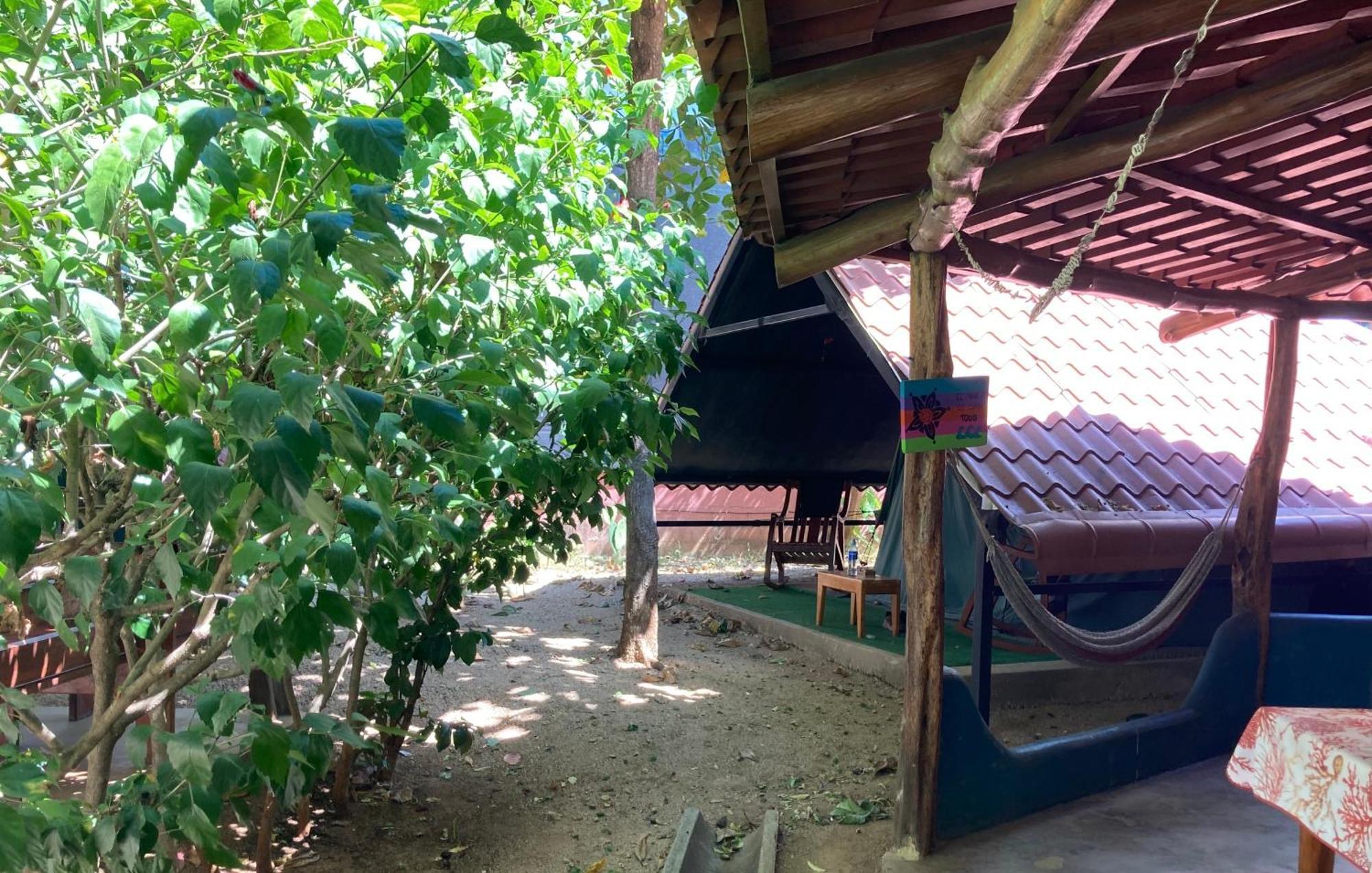 Tamahostel & Glamping タマリンド エクステリア 写真