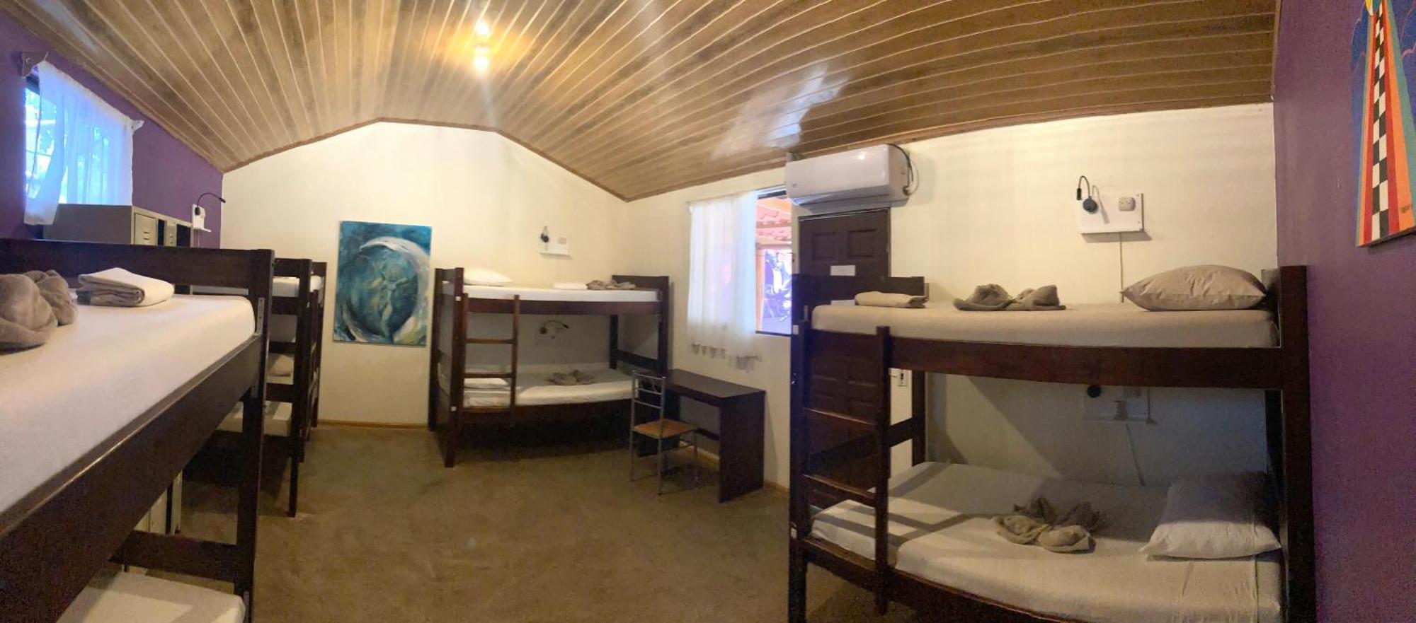 Tamahostel & Glamping タマリンド エクステリア 写真