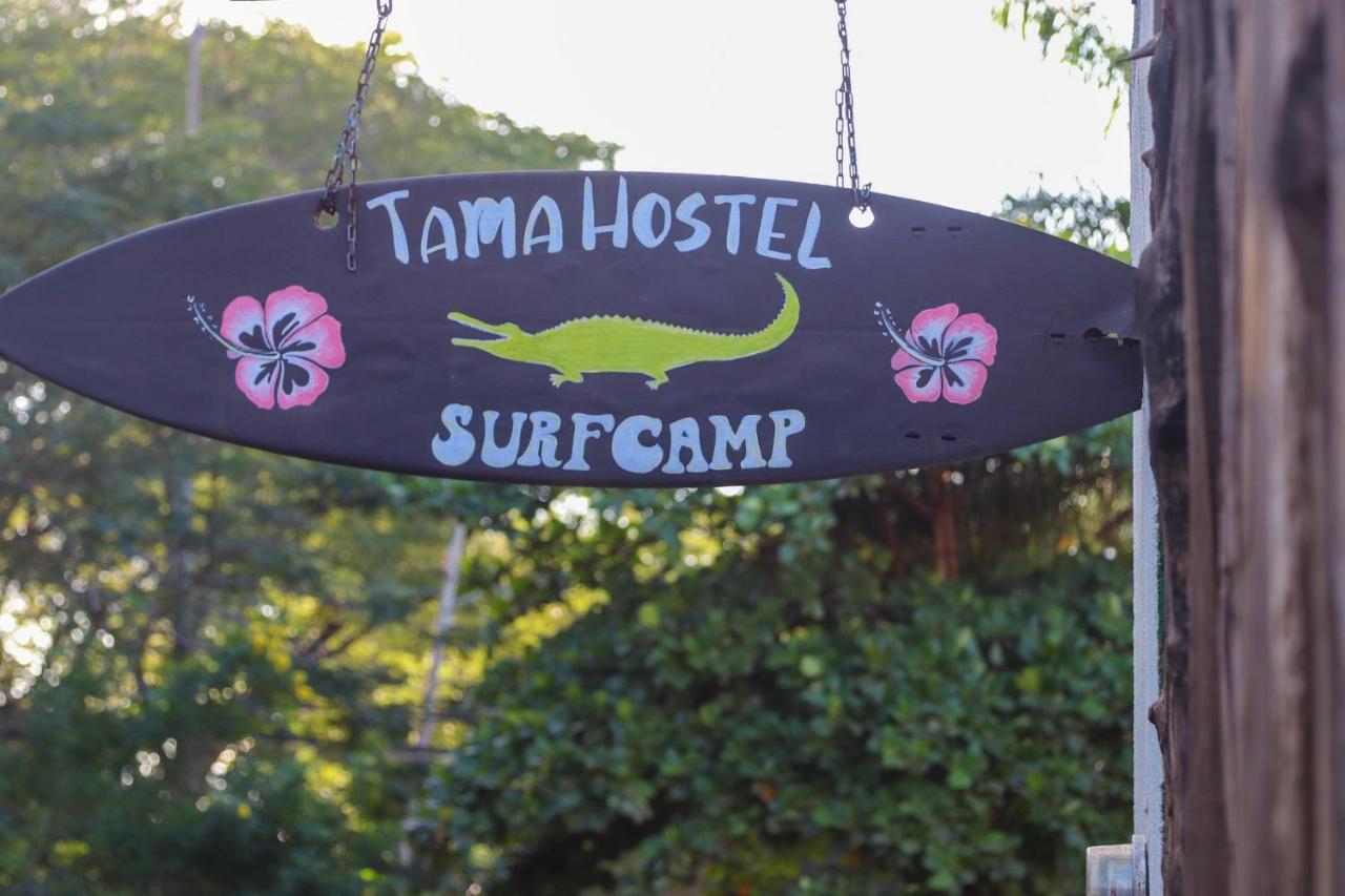 Tamahostel & Glamping タマリンド エクステリア 写真